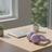 Echo 520BT - Image 4